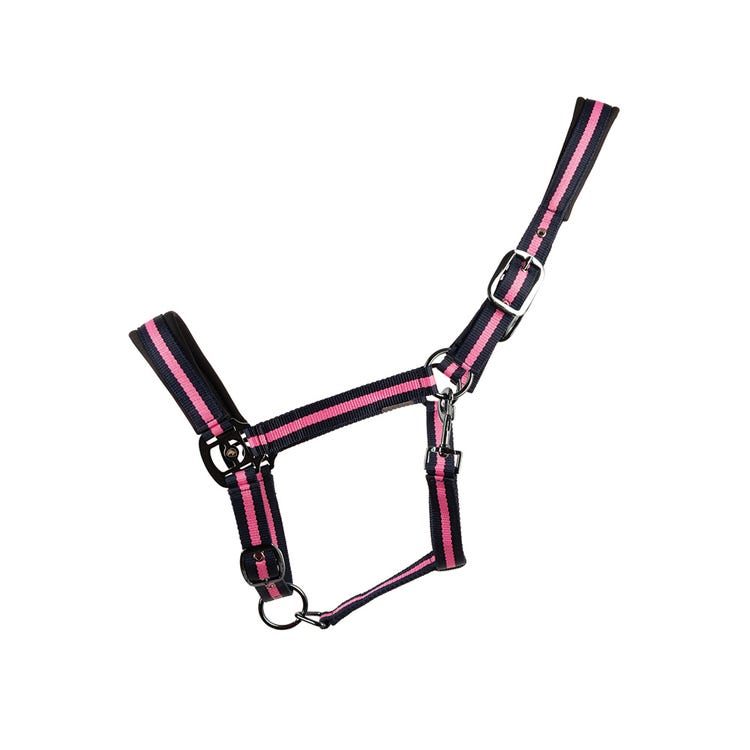 Hy Equestrian Ink Head Collar image 2